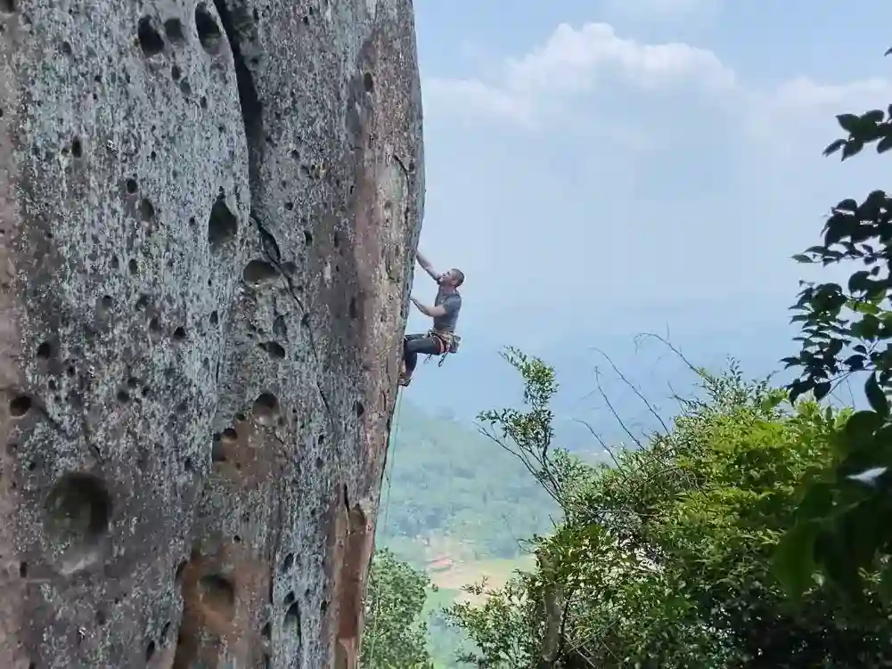 Innovation through persistence